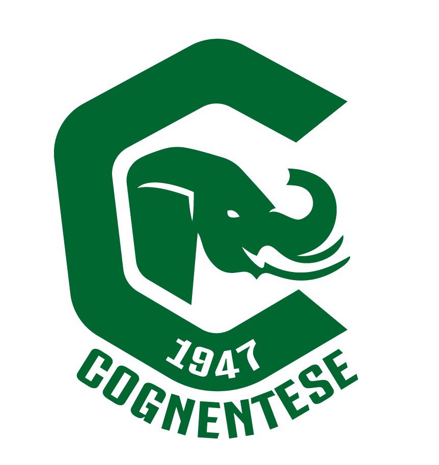 Scuola calcio